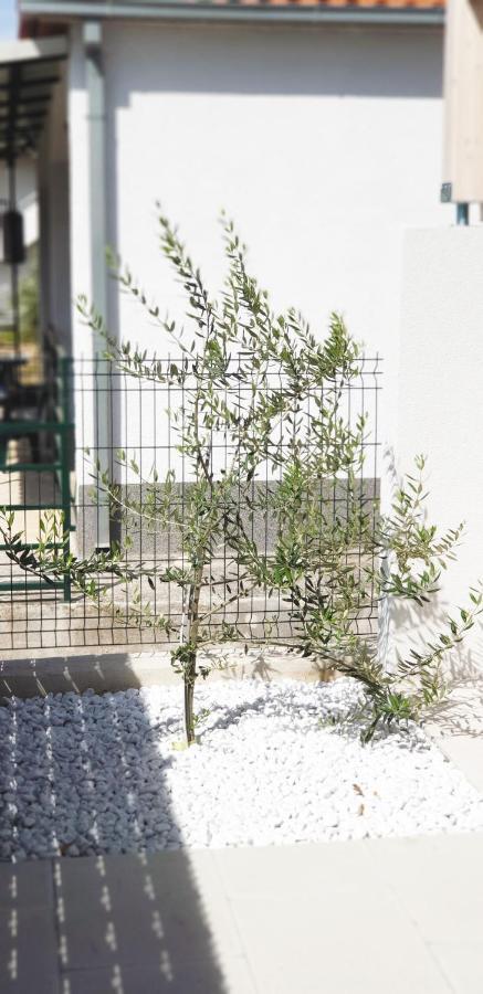 Apartment Kate Trogir Ngoại thất bức ảnh